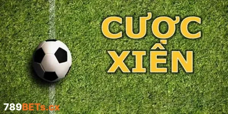 Những yếu tố ảnh hưởng trực tiếp đến hiệu quả soi kèo xiên